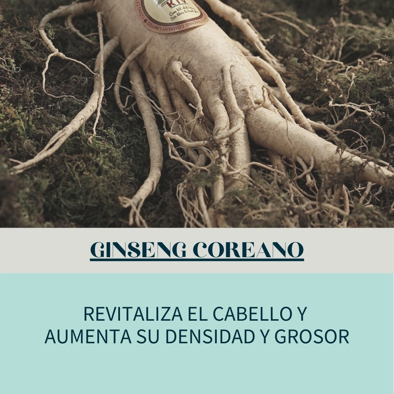 Ginseng Coreano, un excelente aliado para el cabello.
