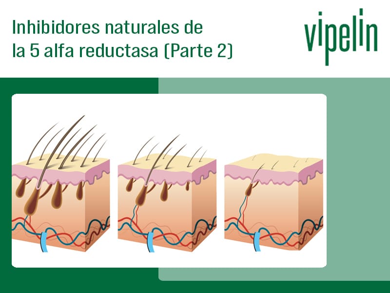 Otros inhibidores de la 5 alfa reductasa Parte 2