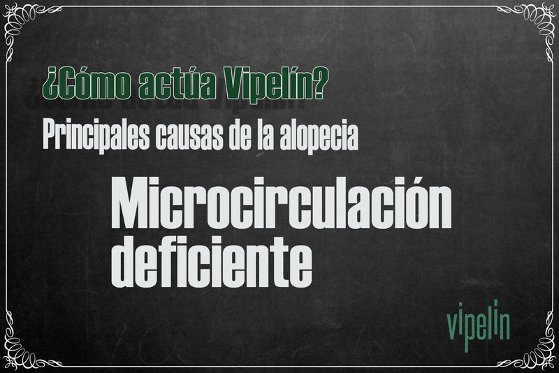 Vipelín activa la microcirculación del cuero cabelludo para asegurar un aporte óptimo de nutrientes y oxígeno a los folículos pilosos.