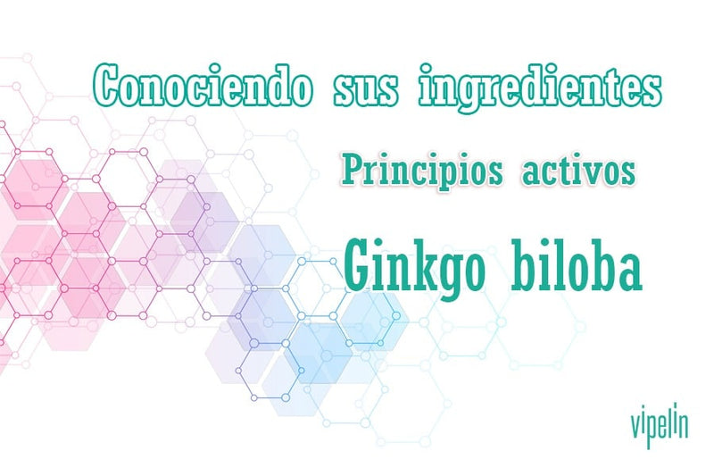 Beneficios del ginkgo biloba para la caída del pelo.