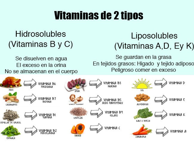 Todas las vitaminas del ser humano 2 tipos