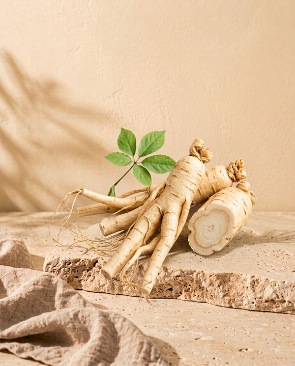 Ginseng Coreano