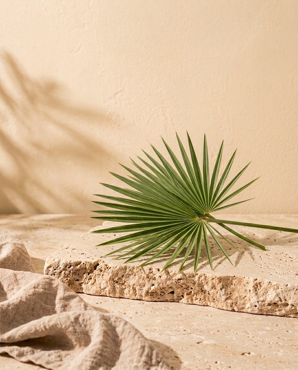 Saw Palmetto