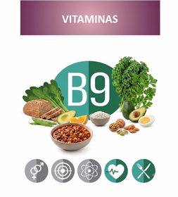vitamina B9, presente en la formulación de vipelín woman gold.