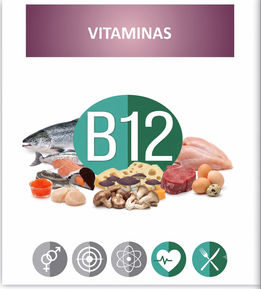 vitamina B12, presente en la formulación de vipelín woman gold.