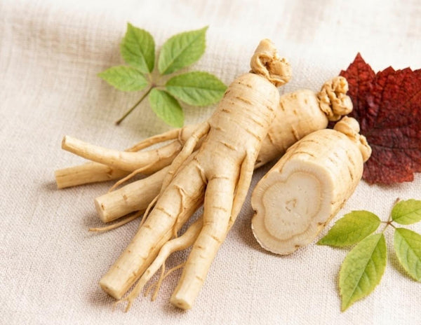 Ginseng Coreano