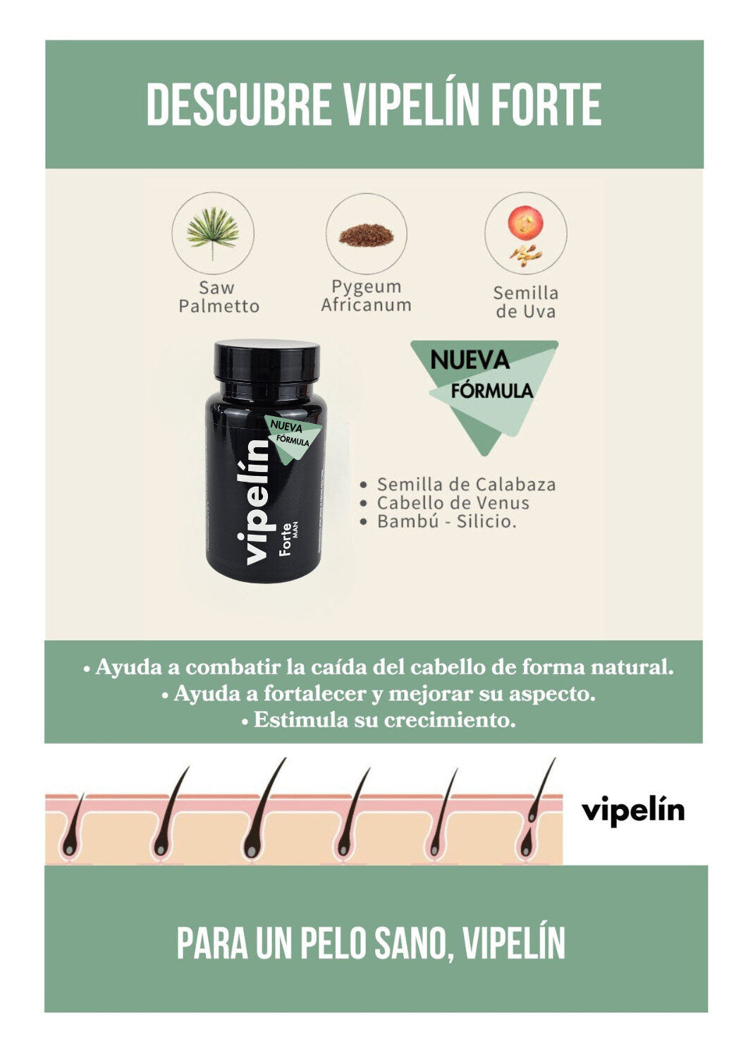 Ver dossier