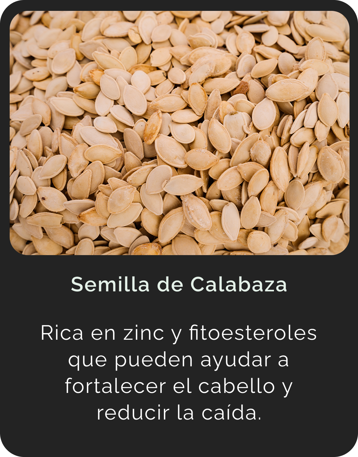 Semilla de Calabaza