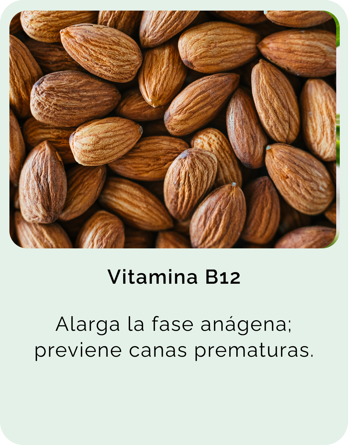 Vitamina B12