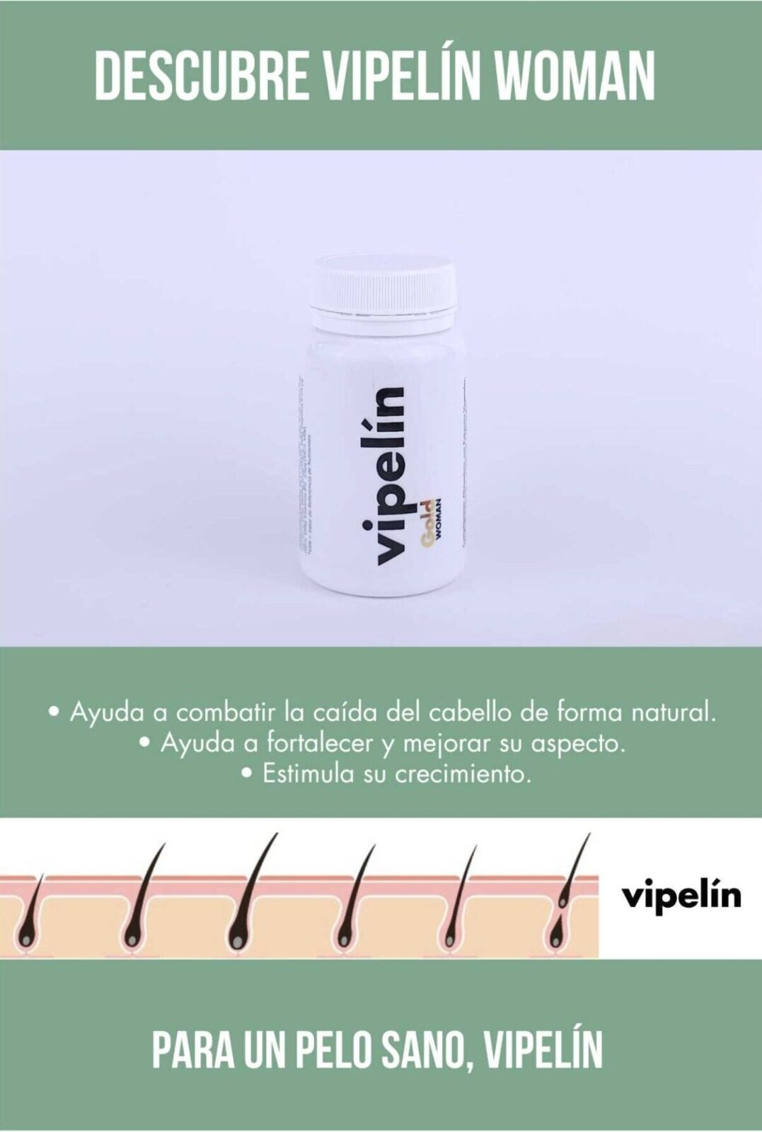 Ver dossier