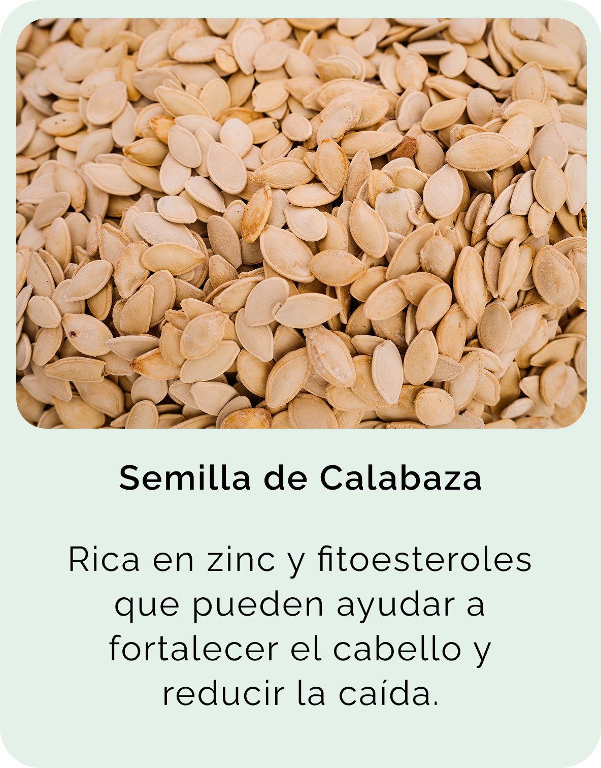 Semilla de Calabaza