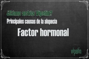 ¿Cómo actúa Vipelín? Factor hormonal en la alopecia: 5 alfa reductasa, DHT y aromatasa.