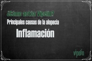 ¿Cómo actúa Vipelín? Inflamación del cuero cabelludo en la alopecia