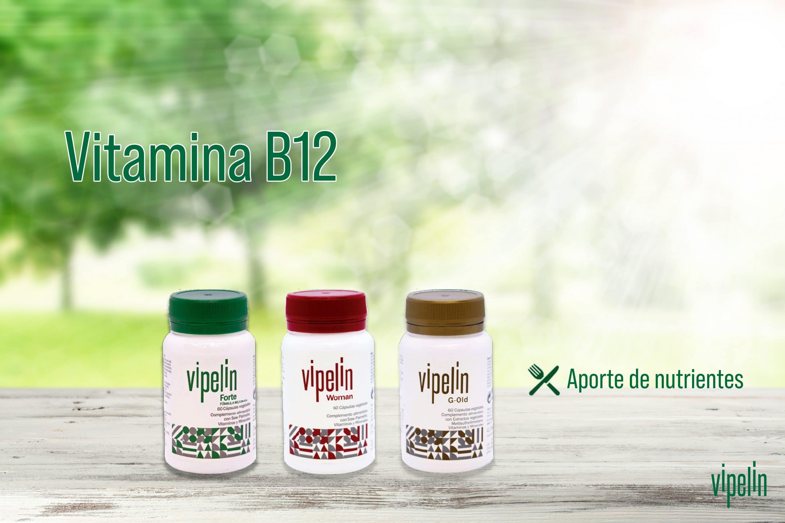 Propiedades de la vitamina B12 para el cabello. Ingredientes de Vipelín.