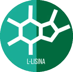 L-lisina para el pelo. inhibidor natural 5 alfa reductasa