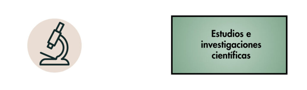 Dossier gold estudios (1)