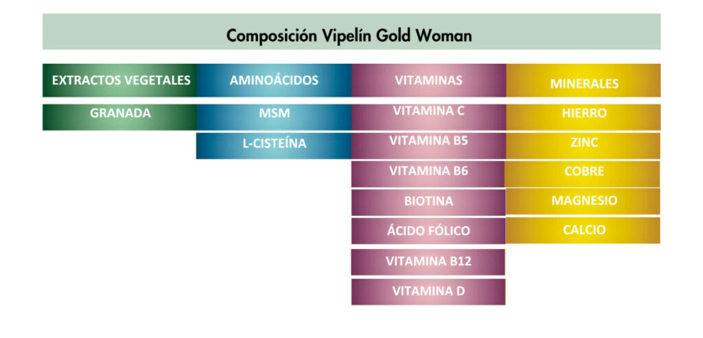 Dossier gold estudios (2)